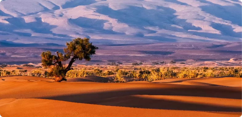 Marokko Sahara Woestijn